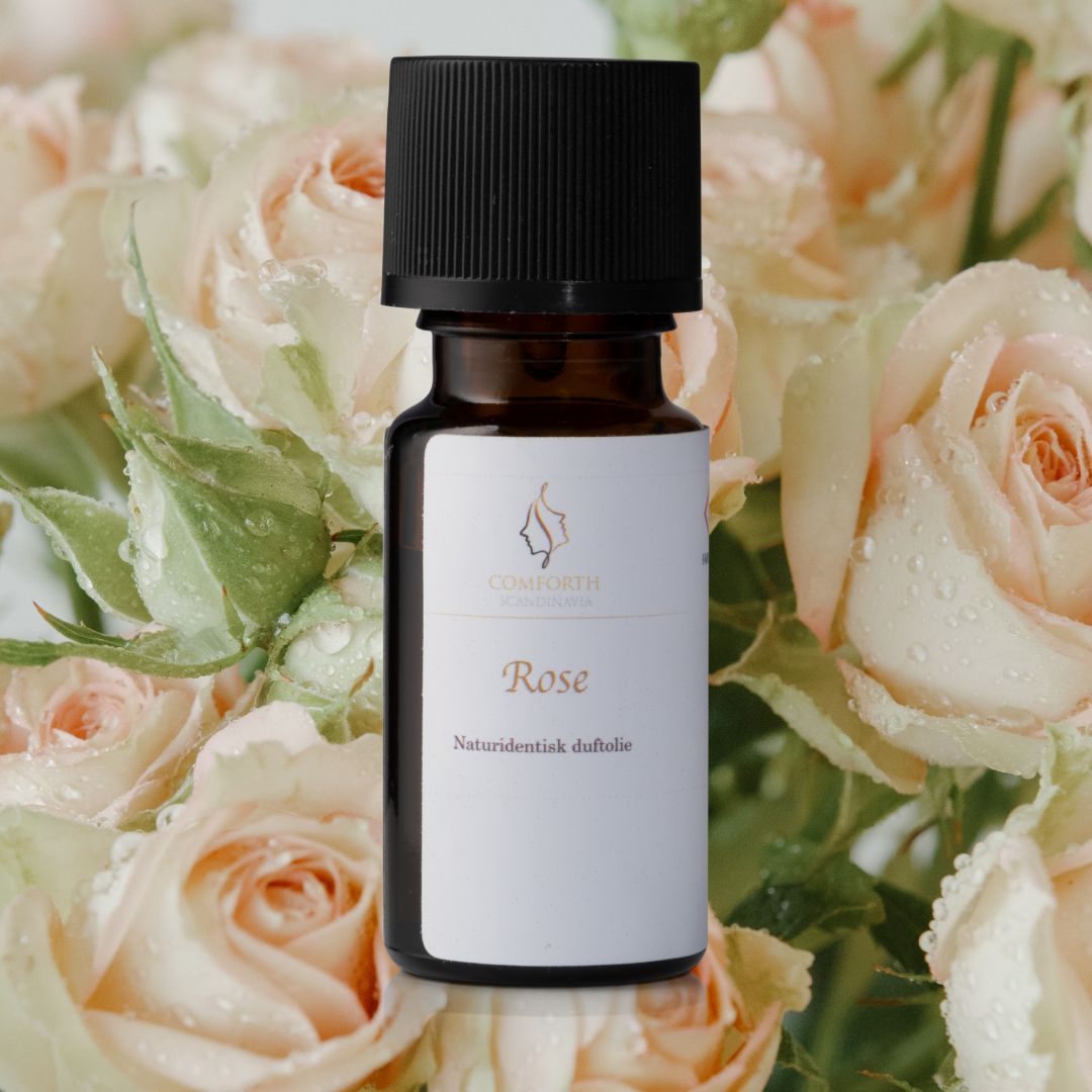 Rose Scented Oil